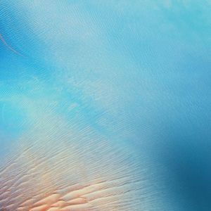 Meet your Posher, Dwayne